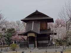 園内のほぼ中央に位置している、桜に囲まれた傍花閣。
2階部分には4畳半の部屋があり、左右両方に山廊と呼ばれる階段入口が設けられています。