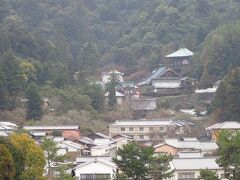 次のターゲットにロックオンしたのは、
雨に煙る緑の屋根たち「大聖院」。
真言宗御室派の大本山の寺院です。

聞いたら、行くには、
右へ右へと進んでねーというので、