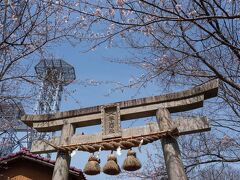 神社があったので参拝していくことに。