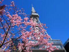 暖かな晴天で、桜も咲いていました♪