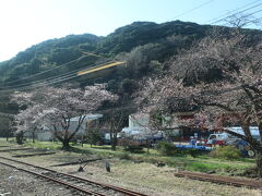 桜が綺麗。。