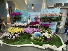 25分ほどで沙崙駅到着。

駅コンコースの、今年は同時期に開催されてる「国際蘭展」宣伝展示