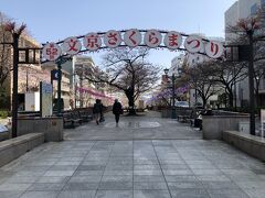 丸ノ内線・茗荷谷駅から5分ほど、春日通り・小石川5丁目と千川通りをつなぐ播磨坂で開かれていました。イベントが行われる土日は歩行者天国となり、吹奏楽や太鼓の演奏が行われるようですが、平日訪れたため周辺は静かで、ゆっくり桜を観賞することができました。