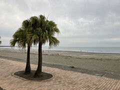 ただいま～
今日は波無しね
いいよ、いいよ

定宿ゲストハウス風樹へ
命の恩人
オーナーとしさんと再会

