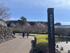 桜の様子を見に
甲府駅からすぐの舞鶴城公園に来てみました