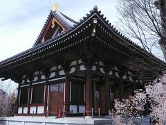 先週も訪問した石上寺
まだ熊谷桜も咲いてますが、先週の見頃は素晴らしかったですね