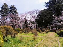 鴻神社から旧中山道をゆっくり歩いて20分くらいで鴻巣公園到着です
鴻巣公園には200本のソメイヨシノがあり3分咲きくらいですね