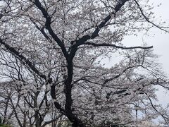 掃部山公園