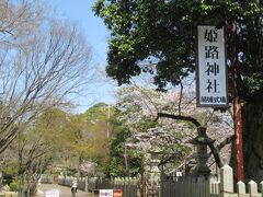 すると「姫路神社」があります、1879年（明治12）の創建で比較的新しいで姫路藩酒井家歴代藩主を祀る神社です是非立ち寄ってくださいね。桜も綺麗ですよ。