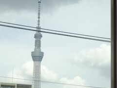 成田エクスプレスに乗って成田空港へ。
途中、スカイツリーが見えました。