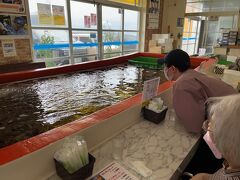 長万部駅から少し離れたところに
カニ飯もあるお店を発見！
広そうなので車いすでも
行けるだろうと入店。

店内には生簀があり、カニがウロウロ
している。