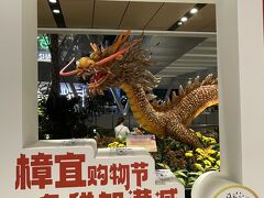 シンガポール チャンギ国際空港 (SIN)