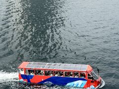 ホテルに戻りしばしまったり～
ダックが通ります。