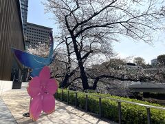 東京・赤坂『東京ガーデンテラス紀尾井町』の桜の写真。