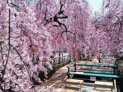 東武百貨店に行く途中に宇都宮市内中心部に流れる釜川の上に床が桜のシーズンのみ設営されてました
