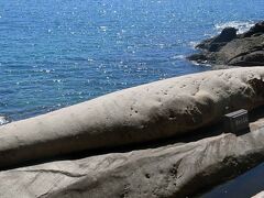 その名も…クジラの昼寝・・・　