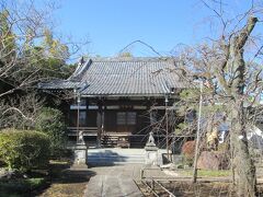 玄照寺本堂　日蓮宗の一寺、創建は1614年、開基は覚隆院日諦上人、開山は忠禅院日延上人、本尊は日蓮大菩薩です。烏山寺町を構成する26ケ寺の一寺です。創建地は白金ですが、関東大震災後、1926年現在地に移転する。山門を通ると正面に本堂があります。梅の木数本が開花しています。その他竹林、シダレサクラがあります