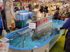 函館朝市 駅二市場 活いか釣り広場