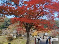 不動橋　美しい紅葉の見どころです