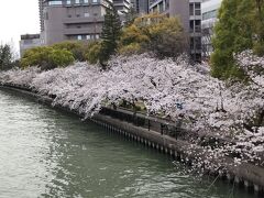 源八橋を越えて対岸ヘ行ってみます。良い景色