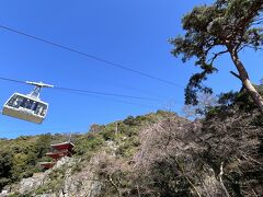 場所変わって岐阜公園へ。