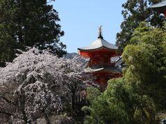 12:20　大原野神社一の鳥居の前が正法寺
真言宗東寺派