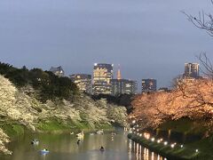 九段坂公園からの景色。
これから歩く千鳥ヶ淵緑道の桜並木や遠くに東京タワーが見えています。
ここもいい撮影スポットで、よりいい撮影ポジションを望んでいる人たちは長蛇の列になっていました。