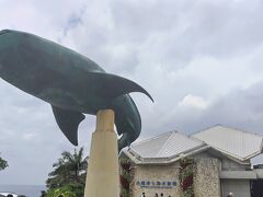 さあさ14年ぶりくらいの美ら海水族館です。