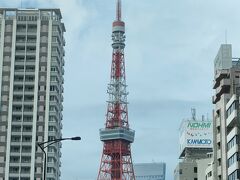 東京タワーを眺めながら、ふと桜も楽しみたいと。。。