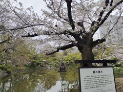 都市公園の噴水としては、日本で3番目に古いとされている「鶴の噴水」がある『雲形池』。