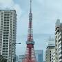 ◎東京/都会のオアシス日比谷公園でお花見♪