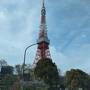 ◎東京/都会のオアシス日比谷公園でお花見♪