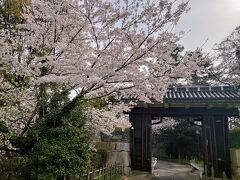 久屋大通から名古屋城へウォーキングします(^^)

二之丸大手二之門の桜…