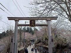 12:30頃奥千本入口到着