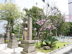 【松原神社】13:10

同じ天文館付近ですが全く逆にある松原神社に来ました。
急激に暖かくなり桜も咲いていました。