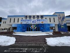 まずは水族館。
