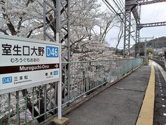 室生口大野駅。こちらも桜が見頃。
このあとは近鉄上本町から空港バスに乗り（電車遅れて走る！）、伊丹空港へ。