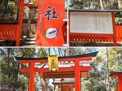 ◆リッツ京都の自転車ツアー◆
下鴨神社鎮守の森「糺の森、ただすのもり」

日本ラグビーの聖地とされた「雑太社、さわたしゃ」
神社の中にラグビー型の石