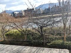 低層なので鴨川は木々の合間から見える感じ、だけど最高でした。
