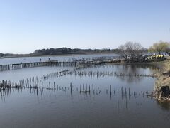 多々良沼です。
多々良沼は夏はハスが多いと聞いていましたが訪れたのが３月だったので沼には何もなかったです。
大きな沼で釣りをされている方が多くいた印象です。