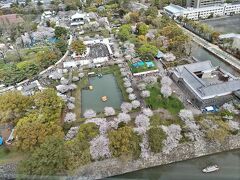 駿府城公園の東南方向、桜がい～い感じです。満開ですね～、