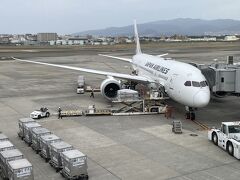 最初に搭乗する機材が見えます。
機材：B787-8。
機体番号：JA849J。
いつもながらJL102の機材は、機体番号JA849Jで運航されていることが多いです。
この日の4ヶ月前と1ヶ月前も同じ機体番号でした。