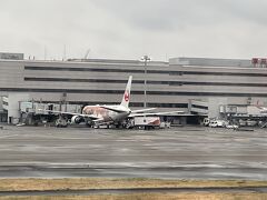 定刻より早く東京国際（羽田）空港に到着。
東京は雨です。
14番搭乗口には、B767-300ERは駐機中。
東京ディズニーリゾート®40周年記念「JAL Colorful Dreams Express」。