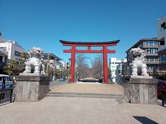 若宮大路を歩いて振り返り。
鎌倉駅そばの二の鳥居と大きな狛犬と獅子。