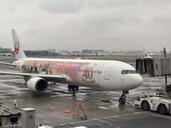隣の14番搭乗口には、B767-300ERは駐機中。
東京ディズニーリゾート®40周年記念「JAL Colorful Dreams Express」。
すでに東京ディズニーリゾート®40周年は終了してますが、まだ運航してました。
この後、JL107　大阪国際（伊丹）空港行きとして出発しました。