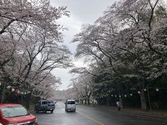 小林牧場