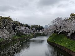 靖国神社の次は、千鳥ヶ淵の桜を見に行きます。

堀に向かって咲き誇る桜、見事という言葉につきます。
日本人観光客はもちろん、外国の方も大勢来ていました。