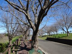 まずは、さくら館の横の道を歩いて、公園のほうへ行きます。