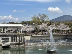 動物園もお子ちゃま連れでいっぱいのようです。
レジャーシート敷いてもうお弁当食べてたり、飲んでそうな人らも多いなぁ(^_^)