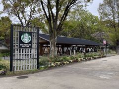 上野公園内にあるスターバックス。